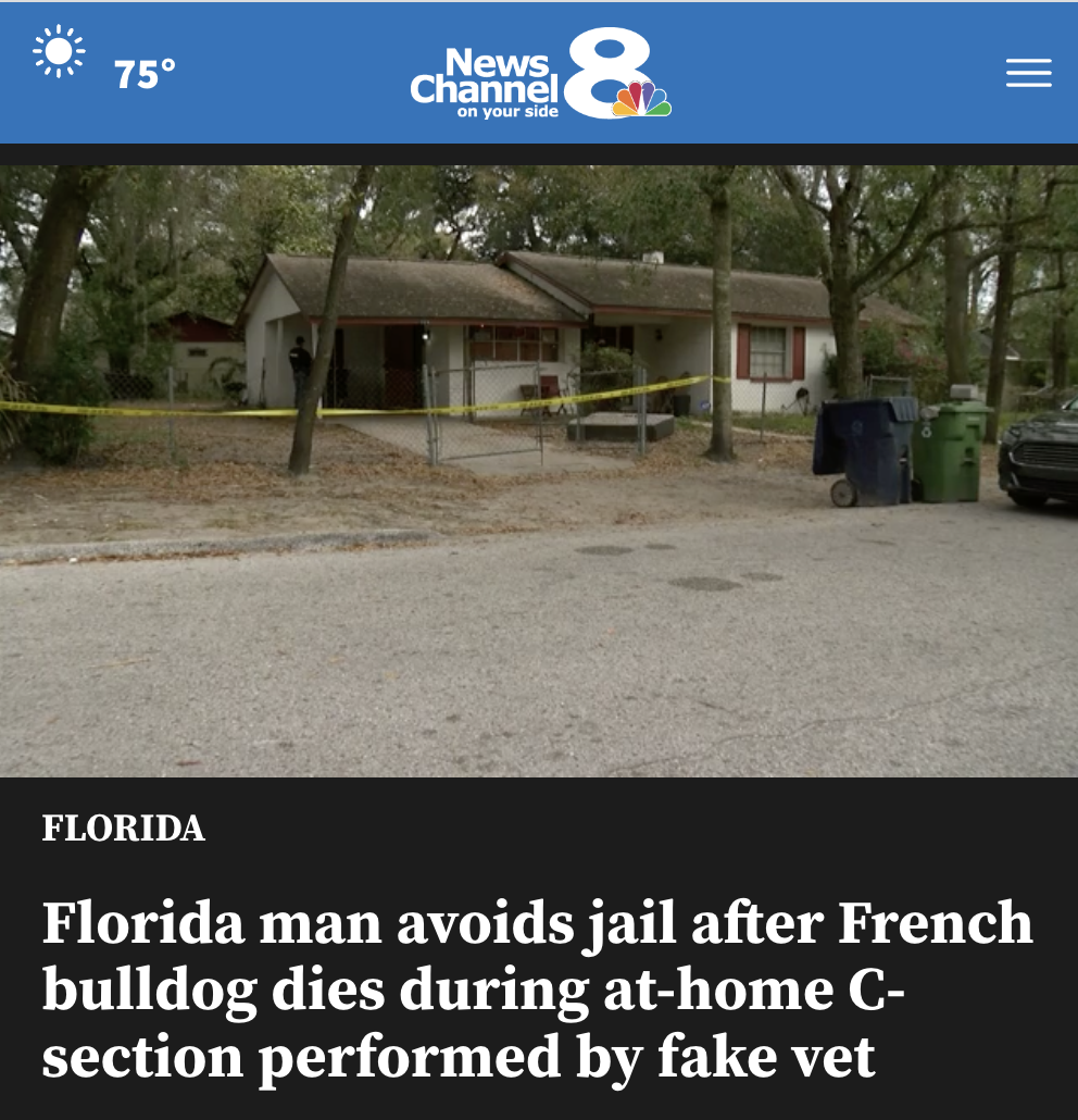 asphalt - 75 News, Channel on your side & Florida Florida man avoids jail after French bulldog dies during athome C section performed by fake vet